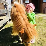 Vorberghof- Bauernhofurlaub 3* Ramsau am Dachstein