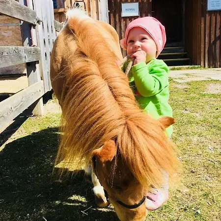 Vorberghof- Bauernhofurlaub 3* Ramsau am Dachstein