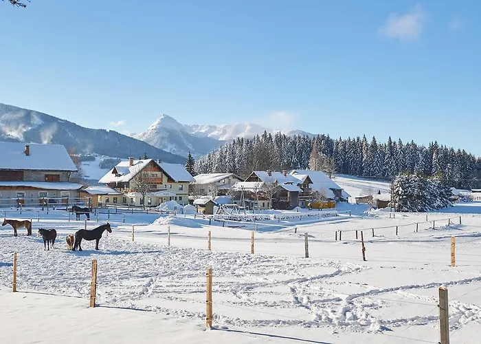 Vorberghof- Bauernhofurlaub 4* 람자우 암 다흐스타인