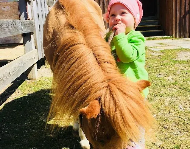 Vorberghof- Bauernhofurlaub 4* 람자우 암 다흐스타인